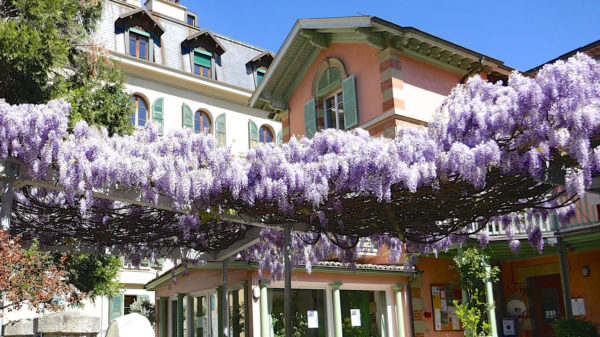MAISON DE QUARTIER DES EAUX-VIVES
